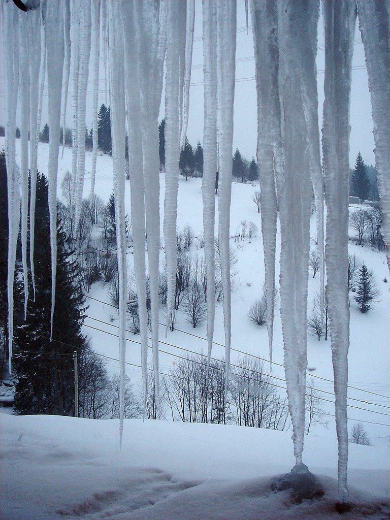 Icicles by BudNick