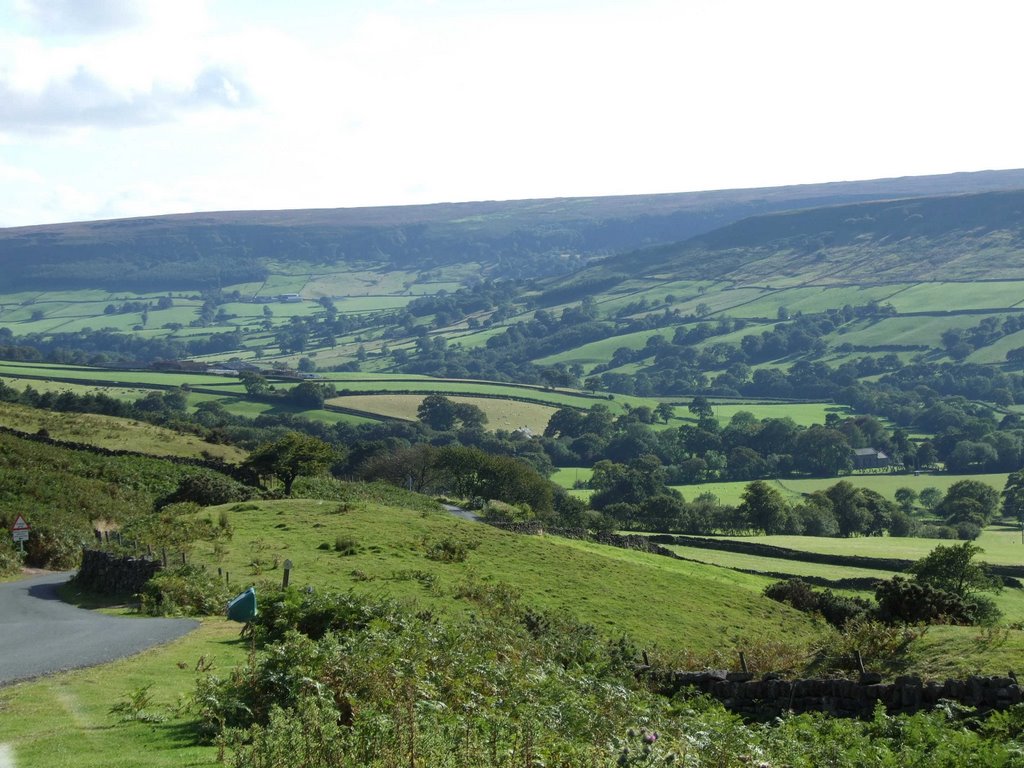 Farndale by pablowhitt