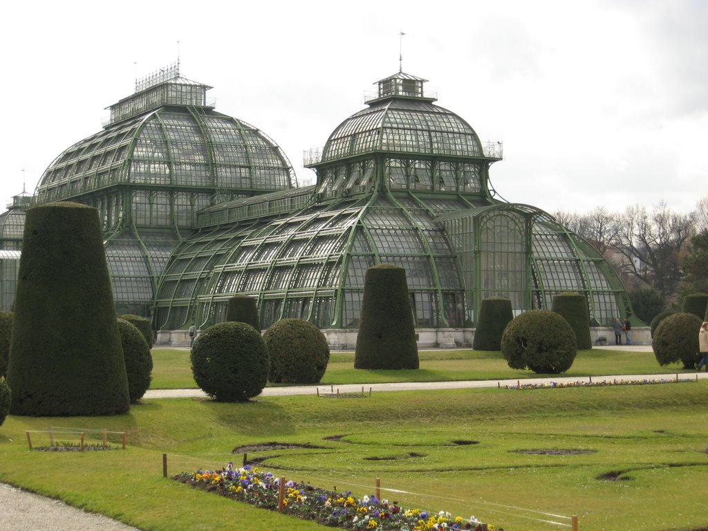 Schonnbrunn Palace - Palmenhaus exterior by adrianzberea