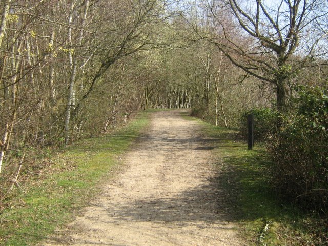 The side of the lakeside footpath by Robert'sGoogleEarthPictures