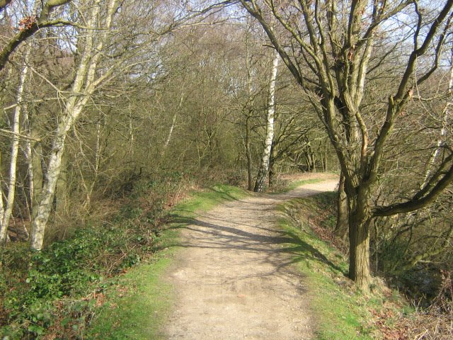 The lakeside footpath leads straight over there by Robert'sGoogleEarthPictures