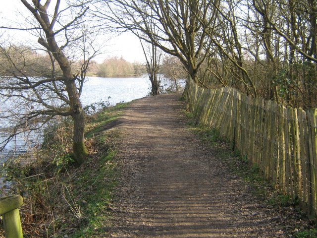 The lakeside footpath leads towards the curved corner by Robert'sGoogleEarthP…