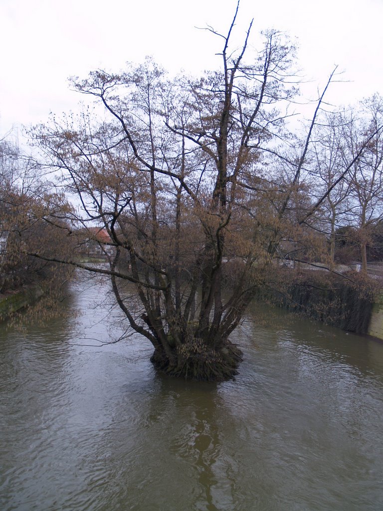 Die Pegnitz·II, Nürnberg by Gorka Aranzabal