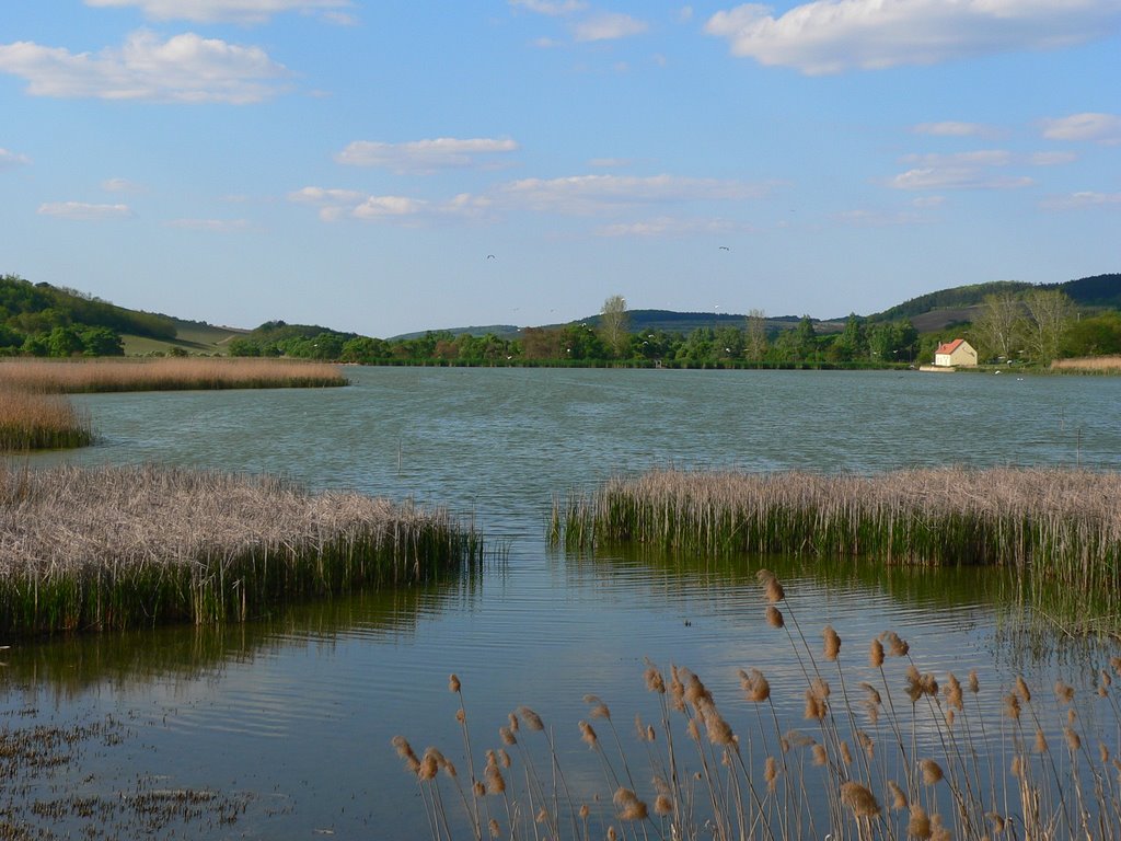 Zsibriki tó by gerzefargo