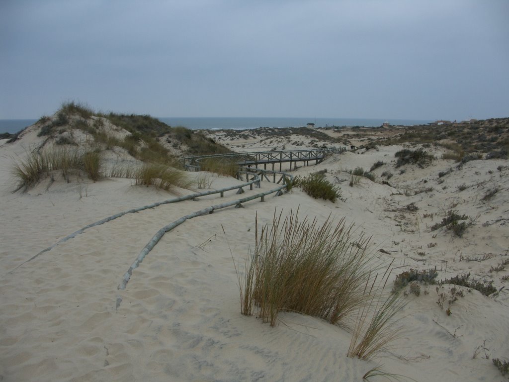 Dunas móviles, Doñana 2004 by PepeTenorio