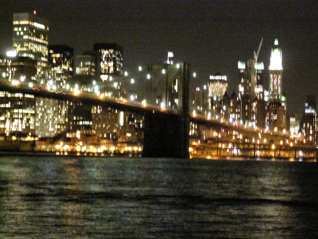 View from Brooklyn Bridge Park by MaxSterling