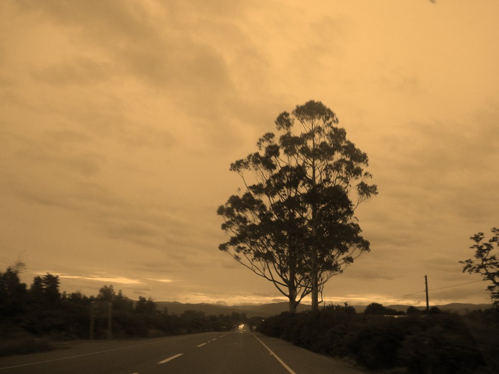 ATARDECER CAMINO A CASTRO EN CHILOE. by georgina guichaquele…