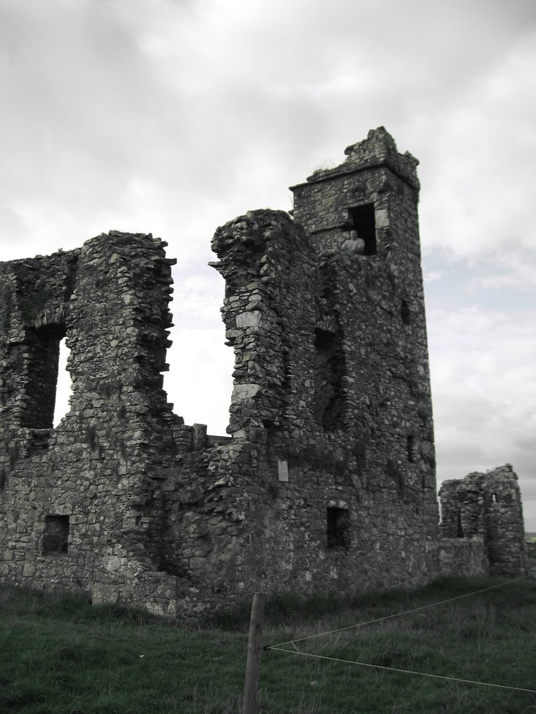 Slane Abbey, County Meath, Ireland by MrsJenelly