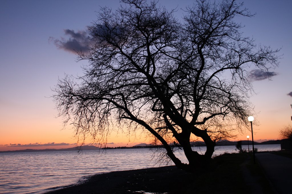 Igoumenitsa by Argyris Angelopoulos