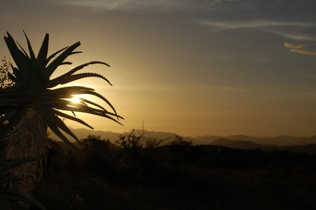 Afrika Africa Namibia Reise Urlaub Rundfahrt by schgody