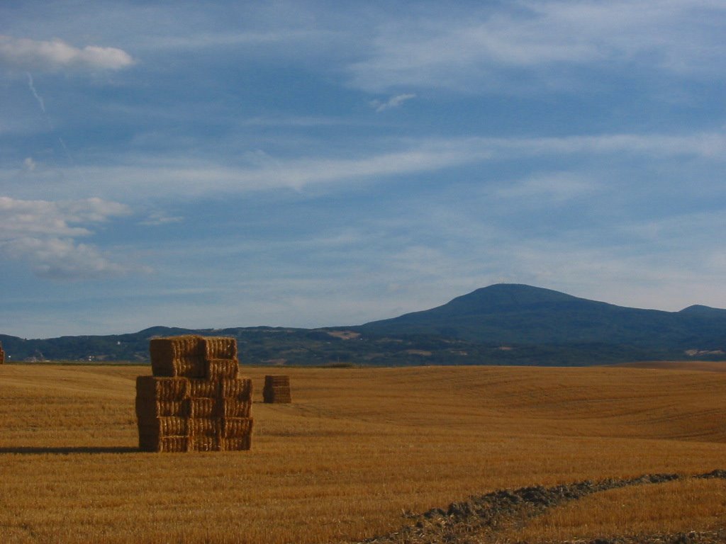 Val D'Orcia. by Eva de Angelis