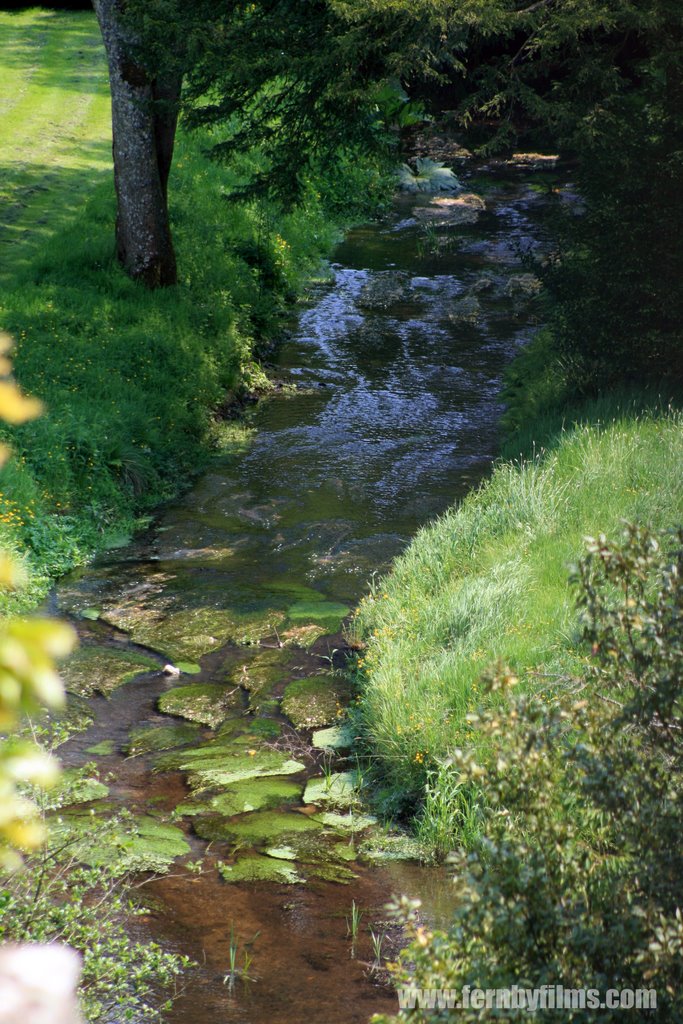 Babbling Brook, Blarney Castle, Ireland. by fernby