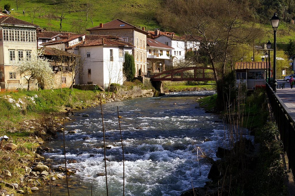 Rio Pigüeña, Belmonte de Miranda, Asturias by Antonio Alba