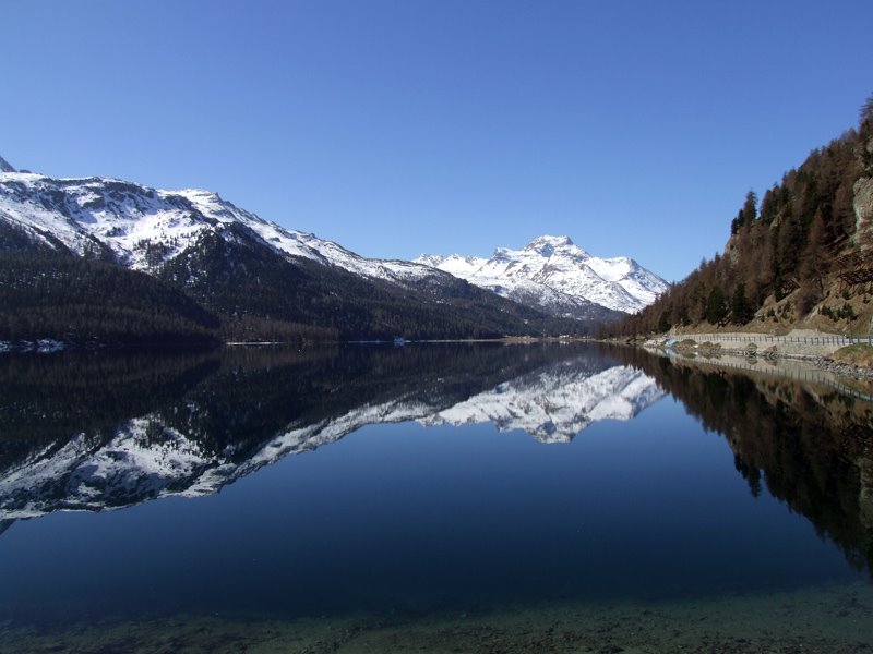 Silvaplana, St. Moritz by Adriano Plati