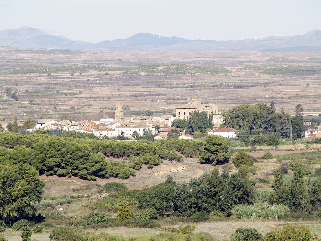 Monteagudo desde Malón by Jangelo