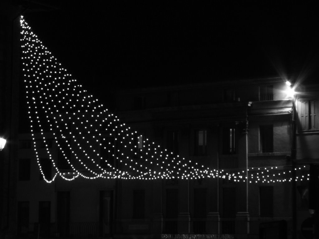 Luci di Natale - Piazza dei signori by enricoweb