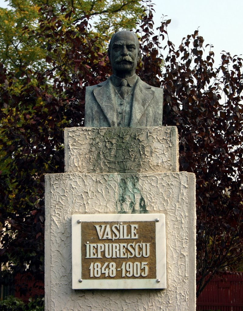 Vasile Iepurescu by infogiurgiu.ro