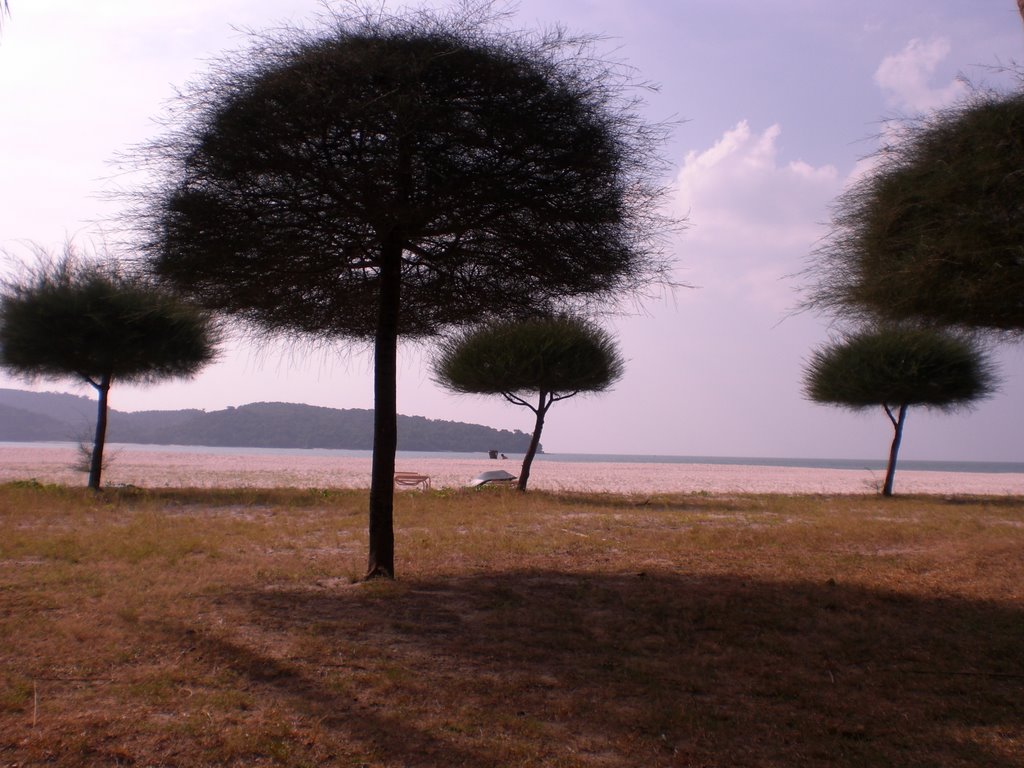 Kedawang, Kedah, Malaysia by Karen-avakyan