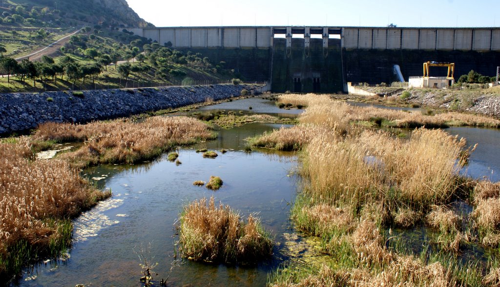 Cuenco de la Presa de Alange. by DiegoRM