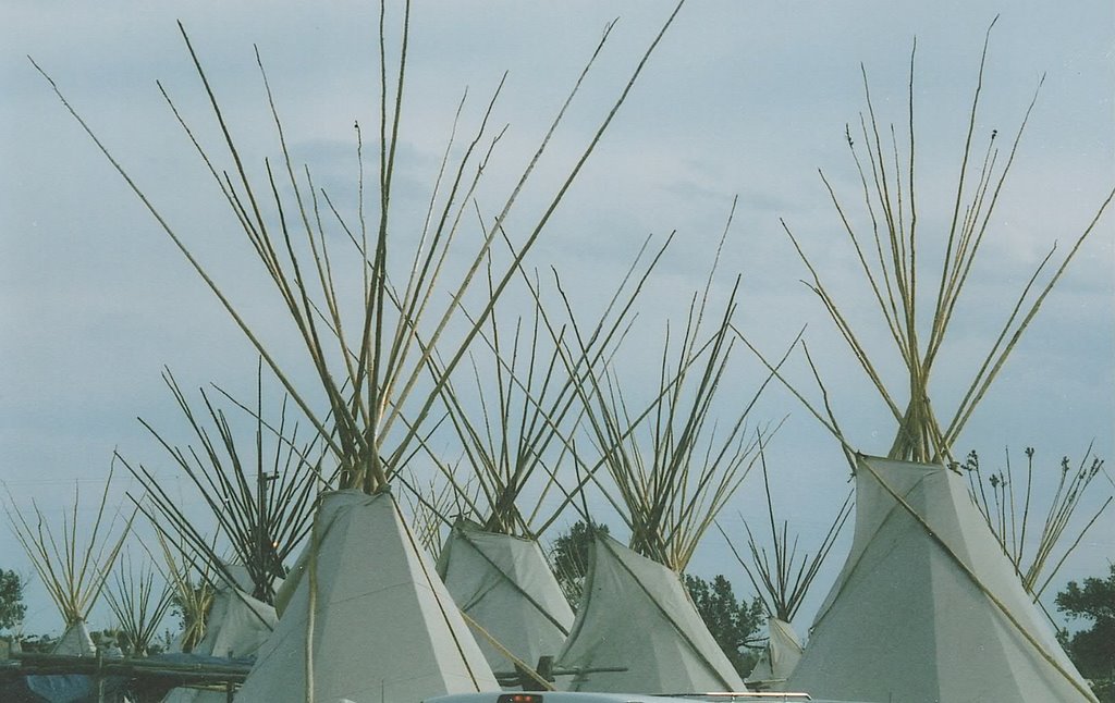 Tipis at crow fair by brucec