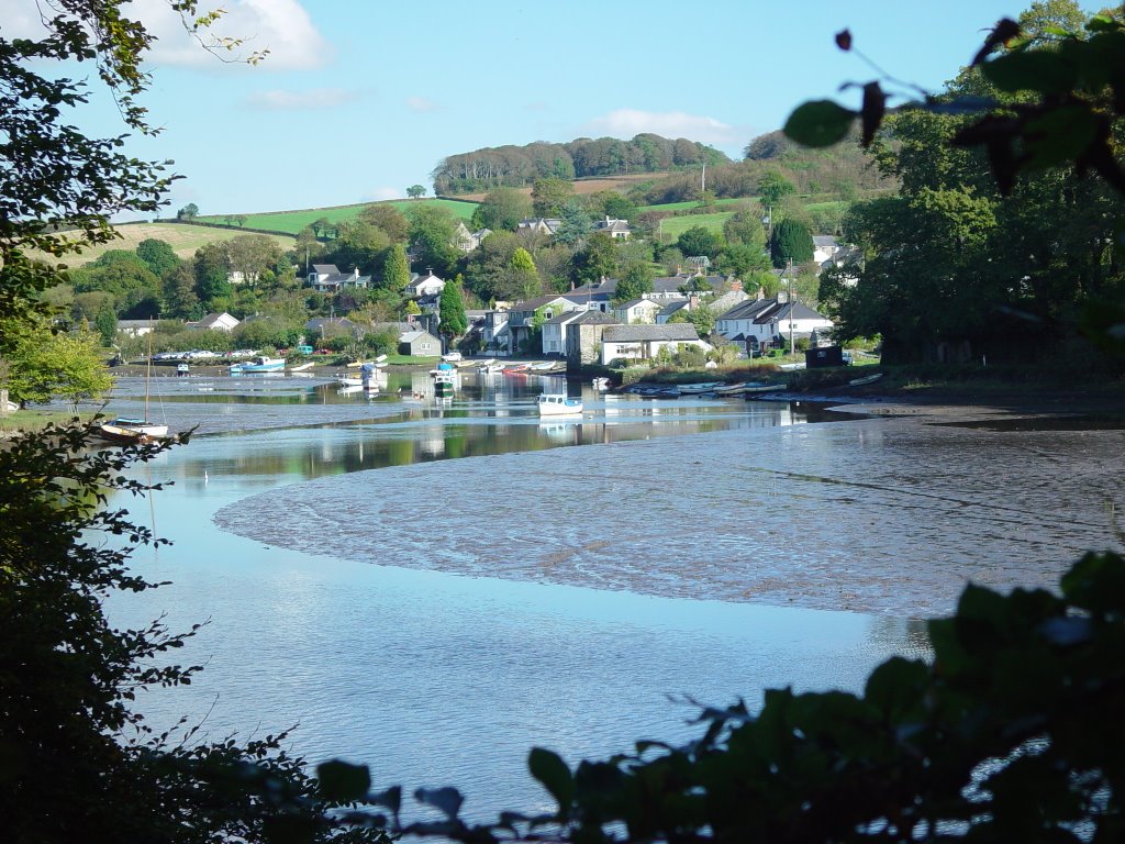 Village of Lerryn from Woods by john-wbt1