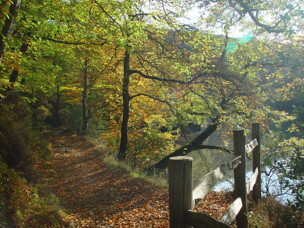 Autumn in Lerryn by john-wbt1