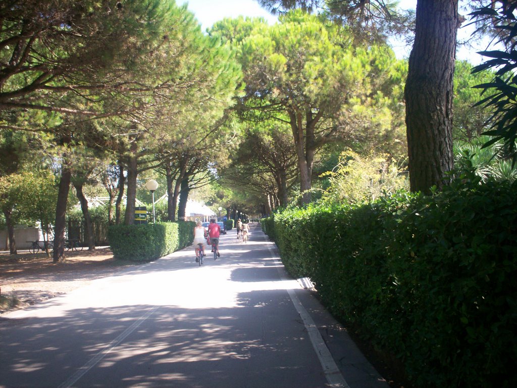 Cavallino-Treporti, Metropolitan City of Venice, Italy by bodon