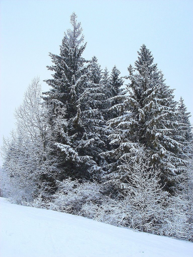 Trostian mountain, Slavsko,L'viv by BudNick