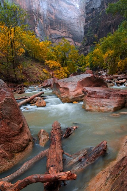 River Walk, Zion National Park by HSanatinia