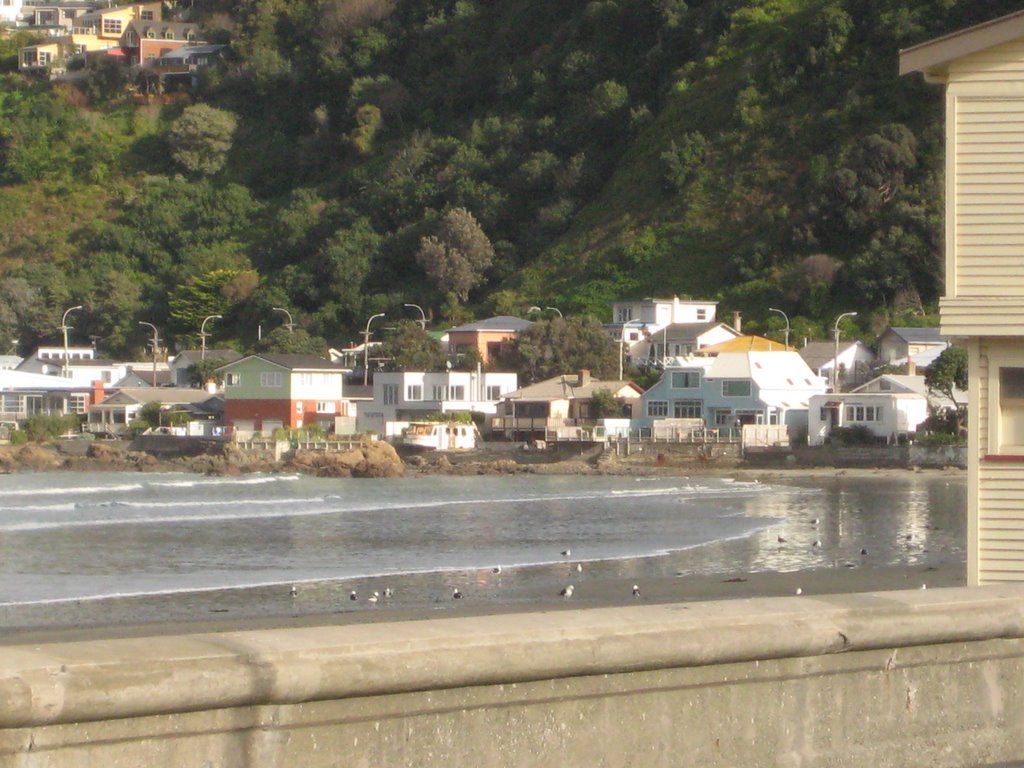 Lyall Bay, Wellington by AnonymousKiwi