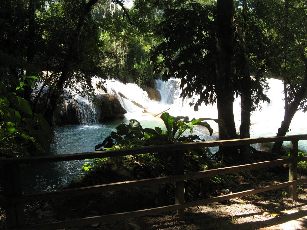 Agua Azul by alfonso topete ramos