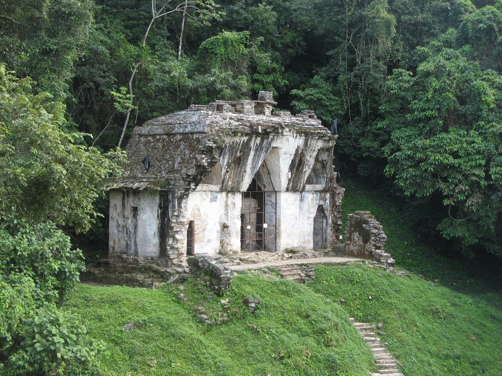 Palenque by alfonso topete ramos