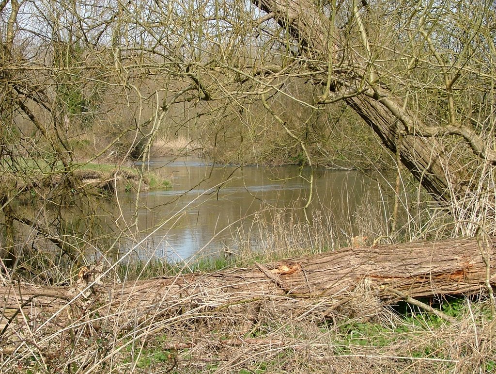 Ufton Nervet - River Kennet by SBower