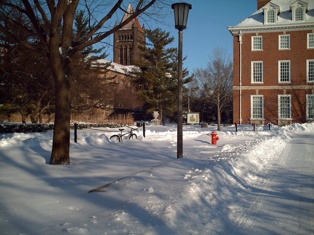 Altgeld Hall in February by Andrew Mayka