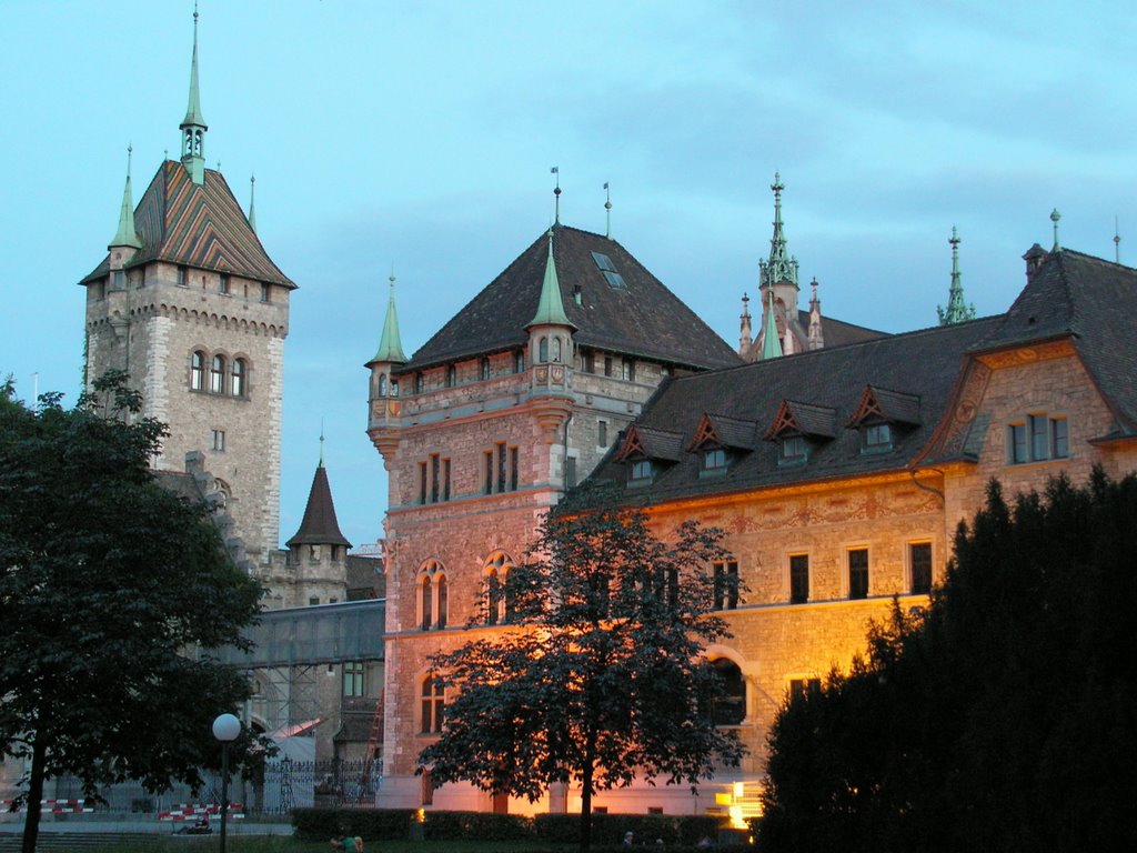 Landesmuseum in Zürich by cstimcsi