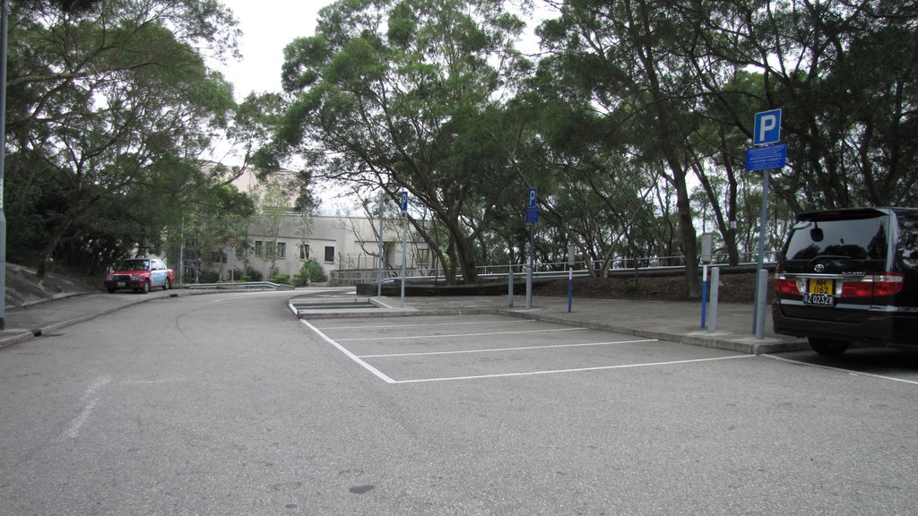 Parking Area of A Kung Kok Shan Road by thinsing