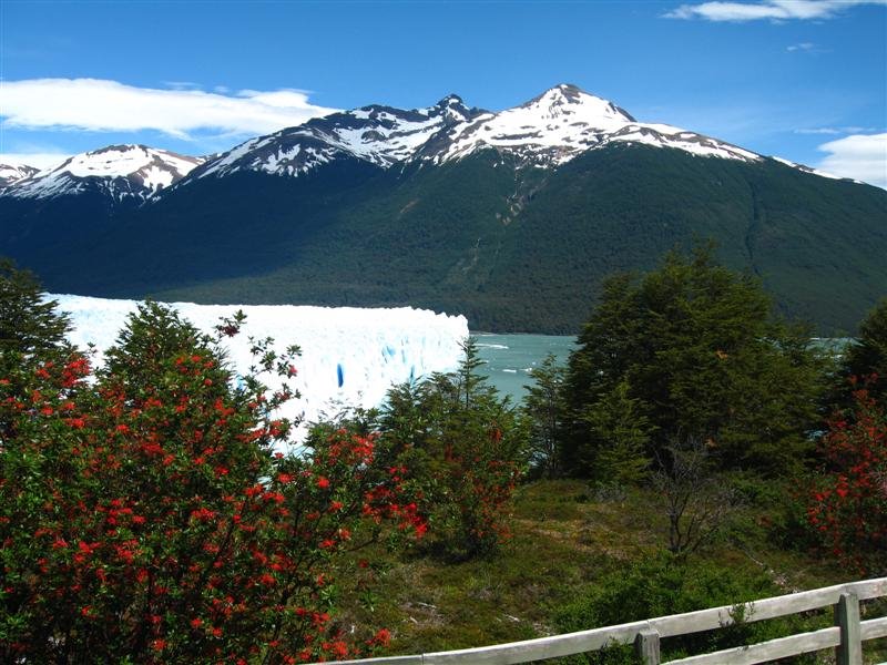 Lago Argentino Department, Santa Cruz Province, Argentina by Helena Gomes