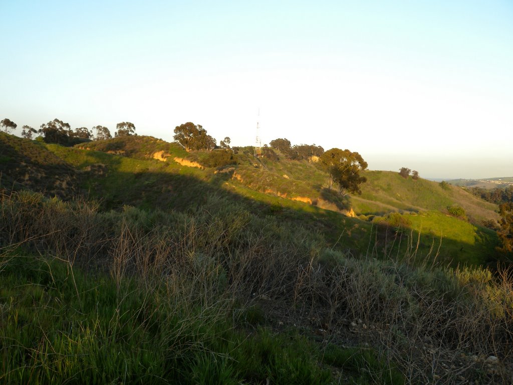 La Habra Heights, CA, USA by yubertenator