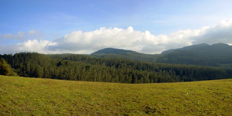 Payumundu View, Ooty by vinaynarkar