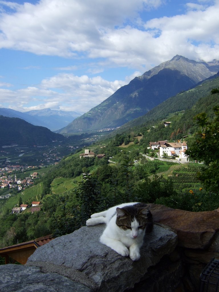 Vinschgau / Südtirol - Blick vom Schloß Tirol by hucky3010