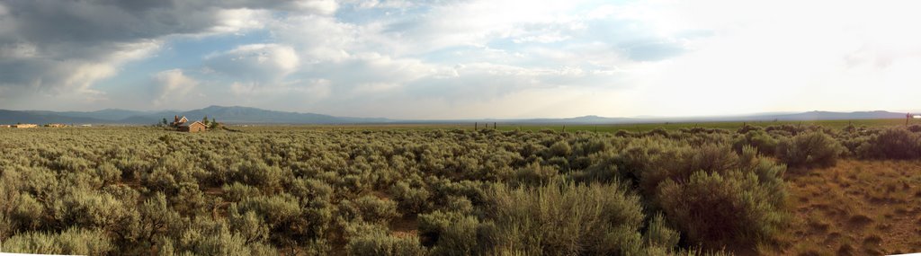 Sagebrush and Clouds by stevefuzzy