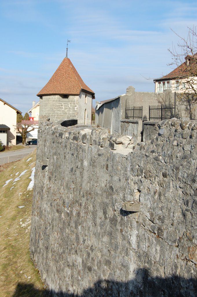 Romont, Tour de Fribourg by cat_stone