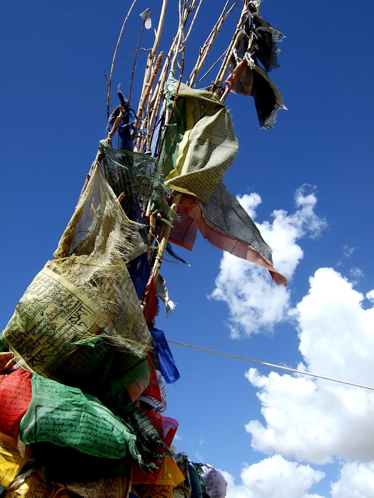 Blue skies and praying flags by mottoth