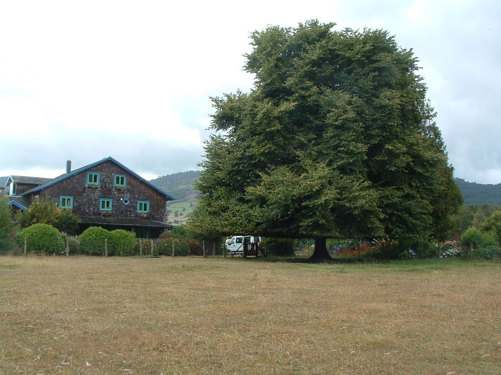 Casas en la rivera del Lago by jocalder