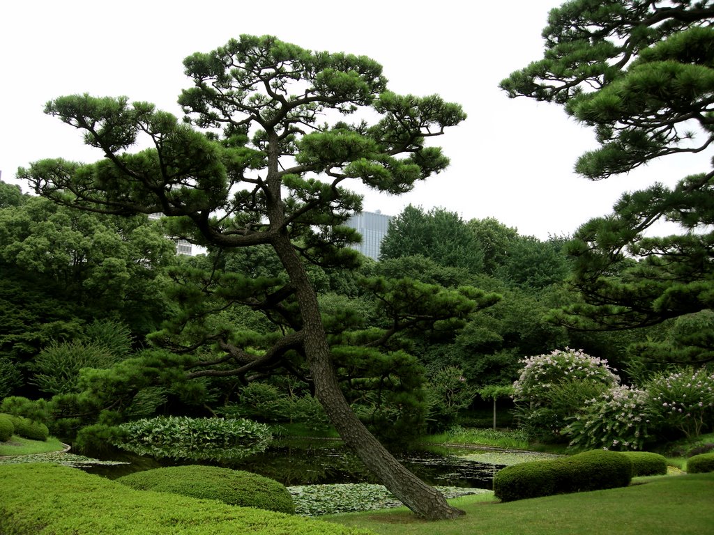 Imperial palace gardens by Jill Hudgins