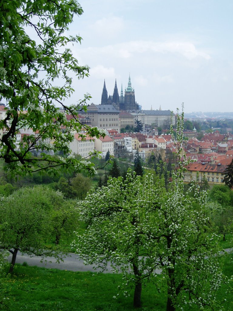 Prague Spring by gordon chalk