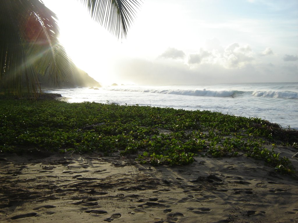 Fernando de noronha - praia da conceição by Arley Perez