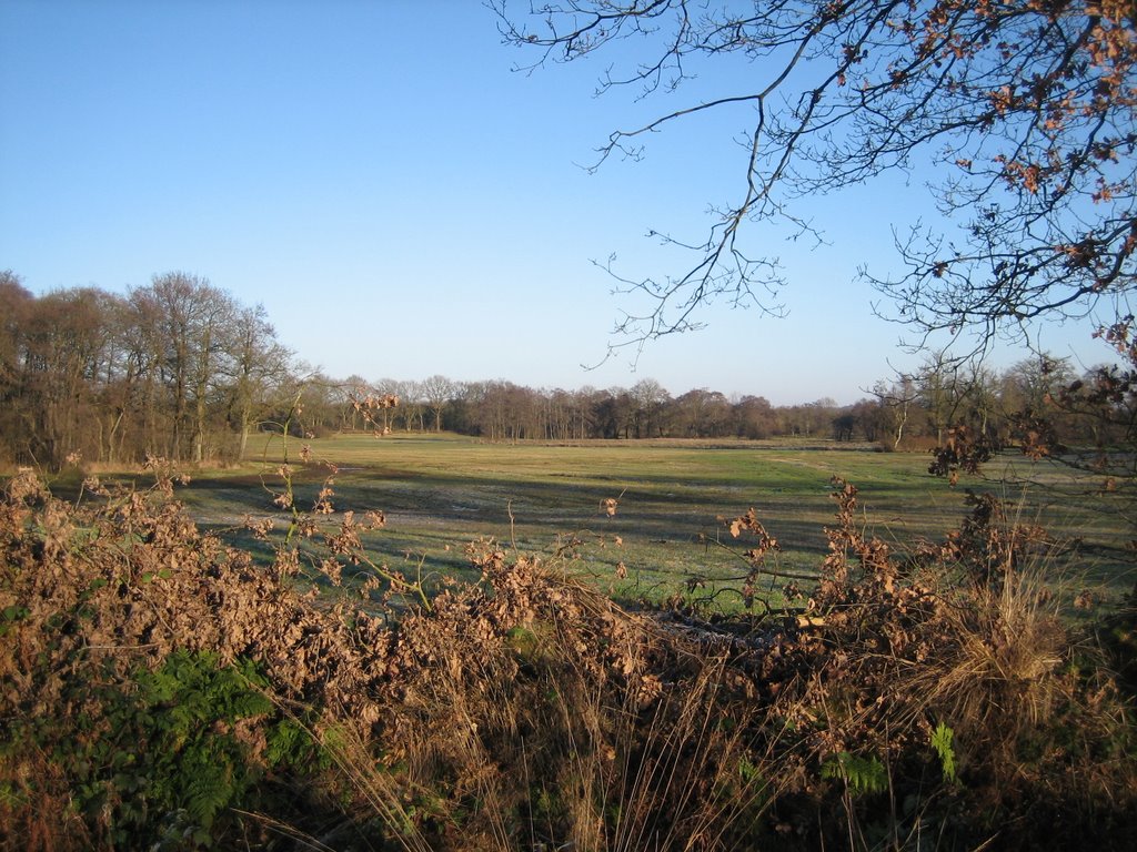 Beekdal bij Anloo by Johan Zuidema