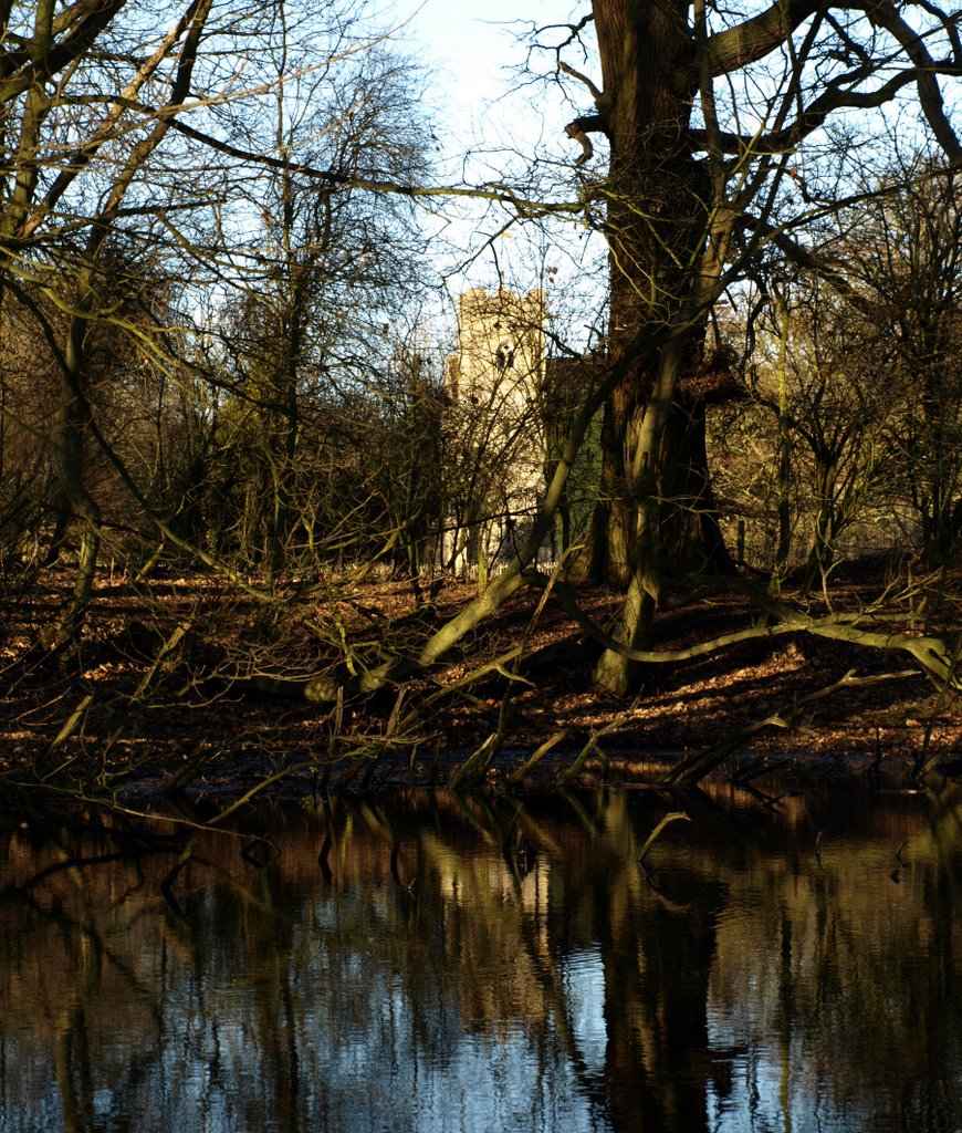 Church through trees by Mel Stephens