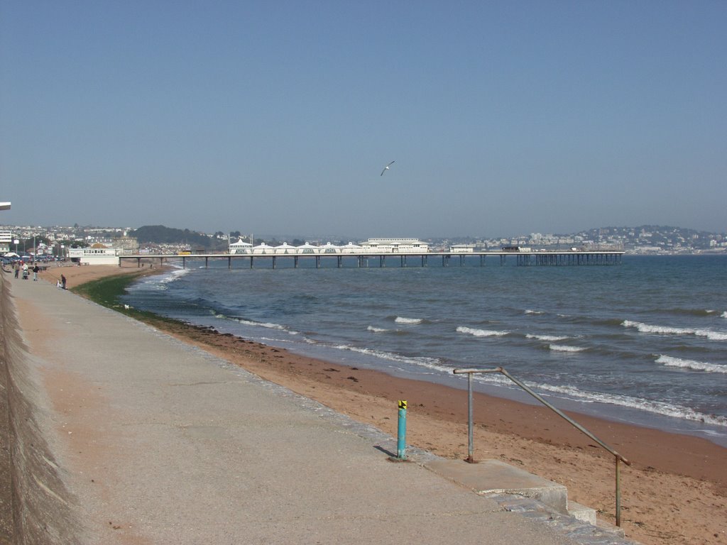 Paignton Beach, Pier and Seagull by pixietw1x